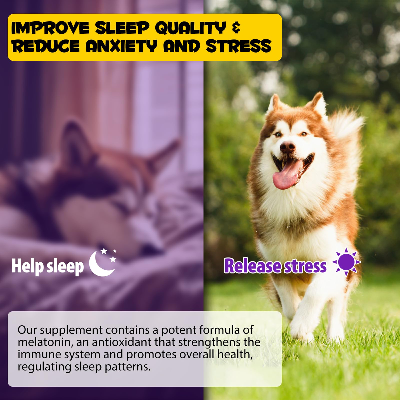 Sleep Aid for Dogs, 60ml Dog Melatonin Drops Supports Dog Sleep, Dog Anxiety Relief, Calming Dogs & Regulates Sleep Patterns - Pet Supplements for Dogs Liquid Vitamins, Bacon Flavour - 2 Fl Oz