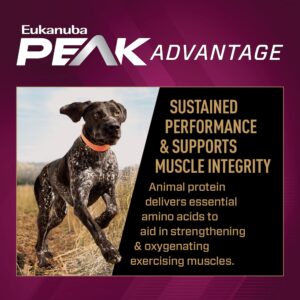 EUKANUBA™ Premium Performance 30/20 Sport Dry Dog Food, 40 lb