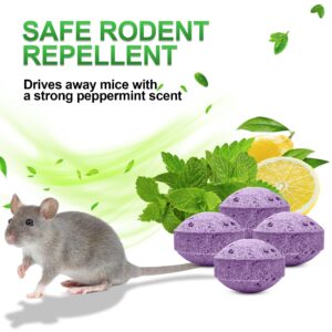 Rodent Mice Repellent - 36Pcs Peppermint Oil Mouse Repellent Balls for Rats Mice Deterrent, Keep Rodents Out of Car House Indoor Outdoor, Mice Rat Repellent Humans & Pets Safe, Rat Spider Control