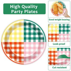 Lonfliness 96 Pcs Camp Gingham Paper Plates and Napkins Gingham Checkered Bachelorette Party Supplies Gingham Birthday Tableware Set Plaid Camping Themed Summer Party Favors Baby Bridal Shower Decor