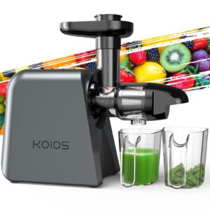 cold press juicer, juicer machine for vegetable and fruit, masticating juicer machine with 2 speed modes & reverse function, celery juicer with quiet motor, easy to clean with brush, non-bpa