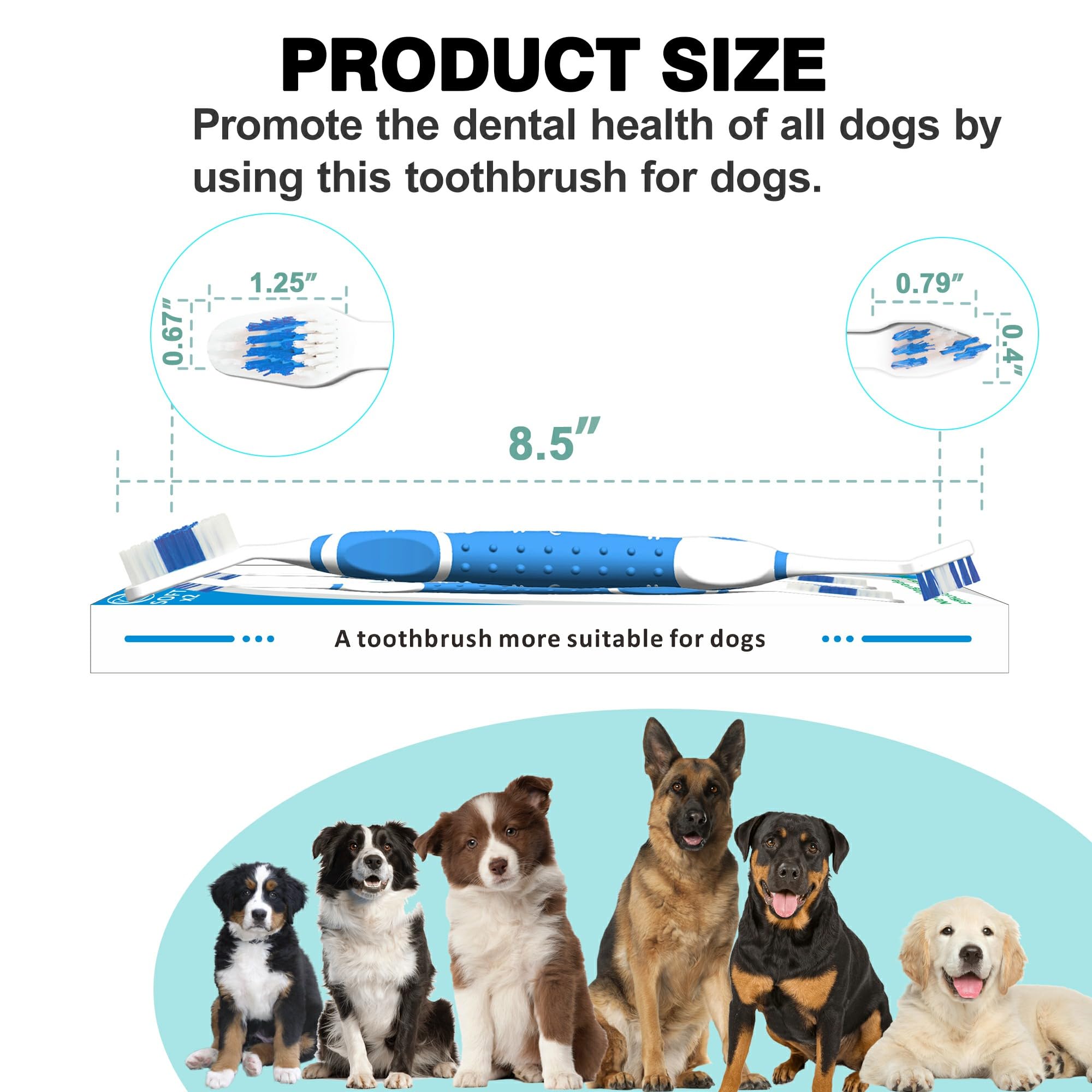 Leoezx™ Double Headed Pet Dog Toothbrush (Blue*2)，Original Design 12° Double-Headed Brush Head, Pet Toothbrush for Small and Large Dogs & Cats, Essential for Cleaning Teeth