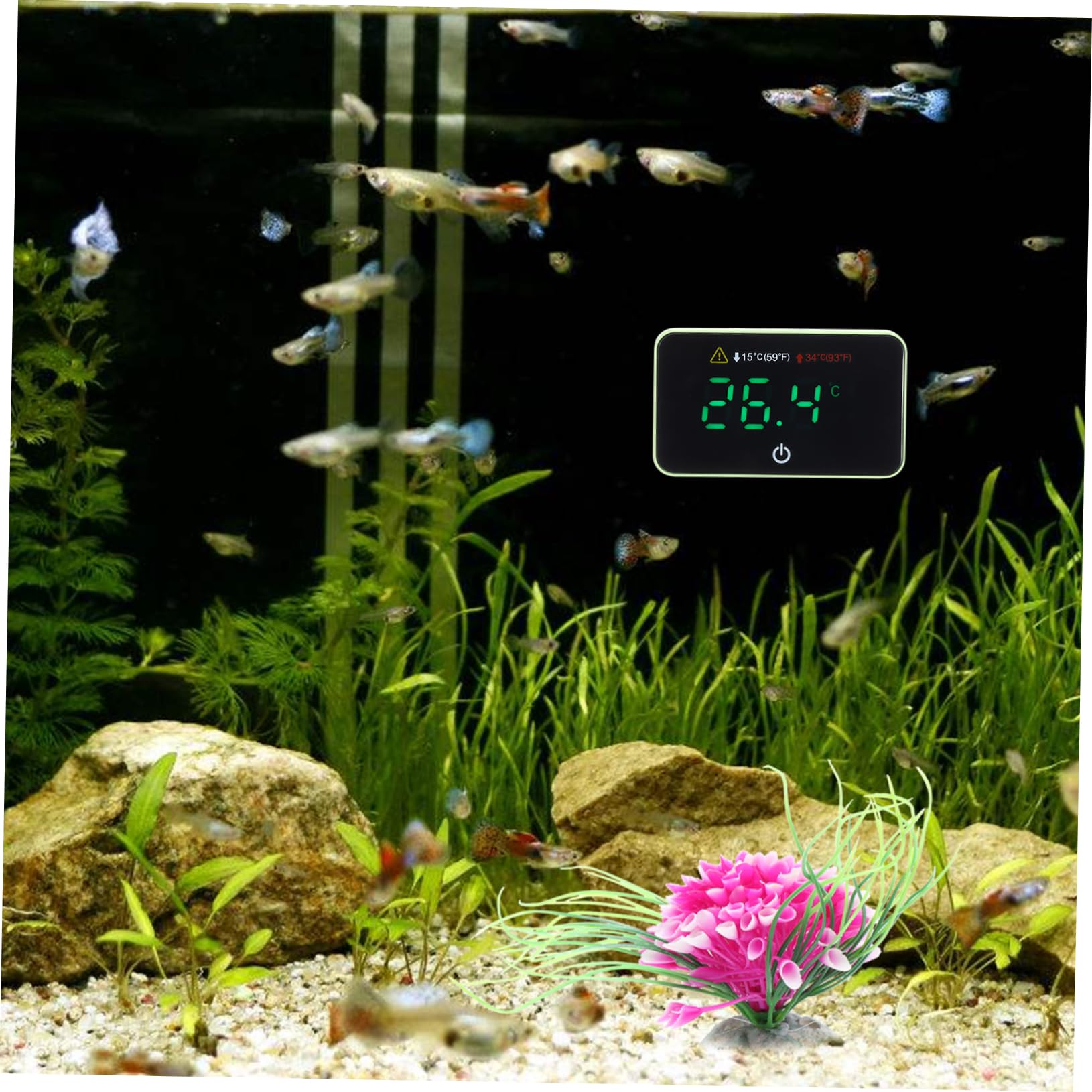 BESPORTBLE Fish Tank Thermometer Fish Supplies Fish Tank Temperature Gauge Aquarium Temperature Measurement Water Thermometer Betta Tank Accessories Reptile Tank Thermometer Fish Thermometer