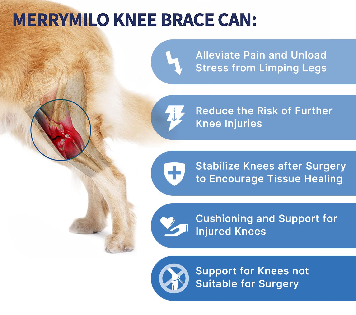 MerryMilo Dog Knee Brace for Hind and Rear Leg, Support for Dog ACL CCL Cruciate Ligament Injury Joint Pain and Muscle Sore, Size L