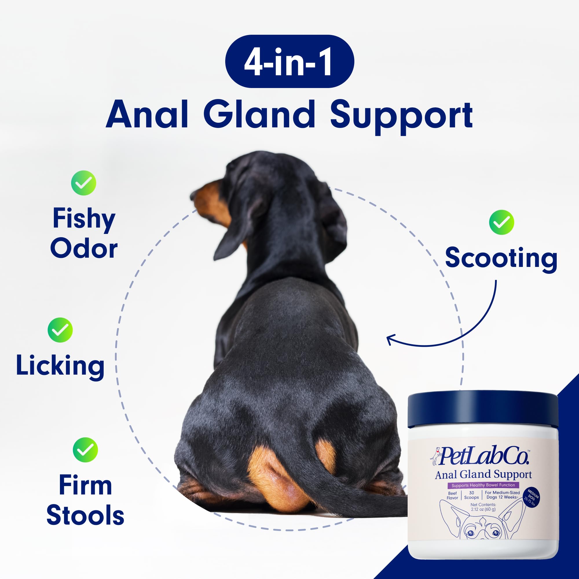 PetLab Co. Anal Gland Support Tailored Powder – Supports Anal Gland Health and Optimizes Stool Consistency - Easy to Use - Helps Target Scooting & Fishy Rears – for Small Dogs