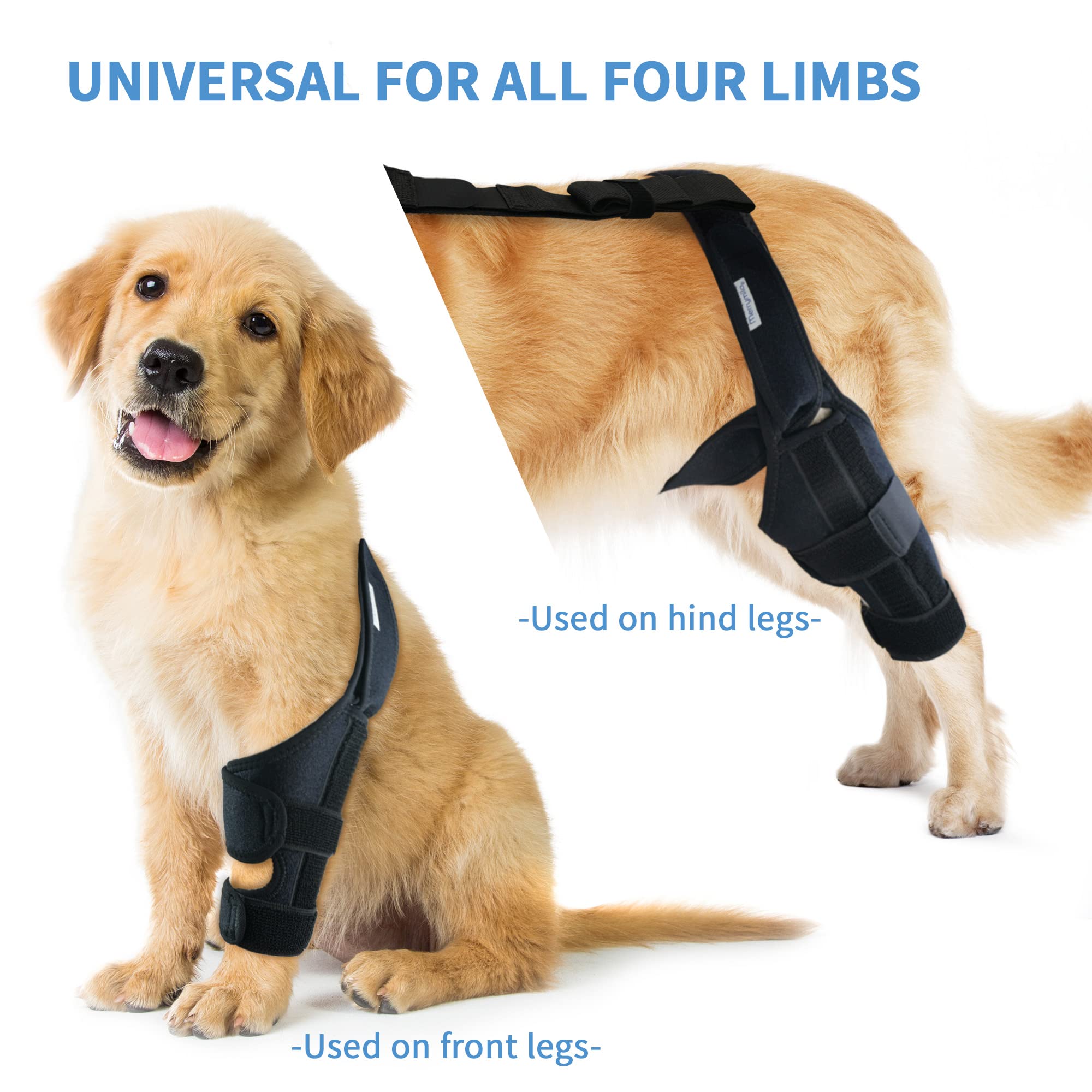 MerryMilo Dog Knee Brace for Hind and Rear Leg, Support for Dog ACL CCL Cruciate Ligament Injury Joint Pain and Muscle Sore, Size L