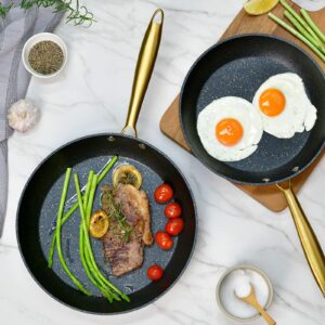 MOJIRE Frying Pan Set Nonstick with Lids, 2-Piece Non Stick Granite Skillet with Golden Steel Handle Chef's Pan (9.5 inch + 11 inch)