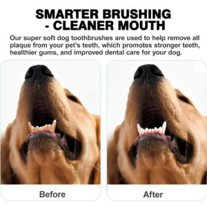 Leoezx™ Double Headed Pet Dog Toothbrush (Blue*2)，Original Design 12° Double-Headed Brush Head, Pet Toothbrush for Small and Large Dogs & Cats, Essential for Cleaning Teeth