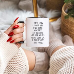 I Came I Saw I Forgot What I Was Doing Coffee Mug - Funny Senior Citizens Sarcastic Gifts Old People Elderly Mom Dad Grandma Grandpa - Presents Mothers Day Fathers Day Birthday - 11 oz Novelty Cup