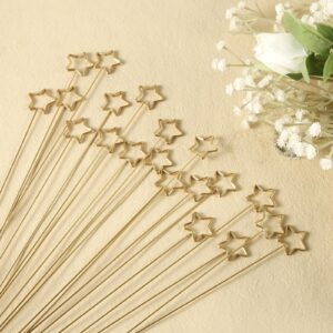 20pcs Table Number Holders, Place Card Holders Metal Floral Card Holder Clips Star Shaped Picture Holders for Centerpieces Photo Memo Pick for Wedding Party Flower Cards Office Cake Topper