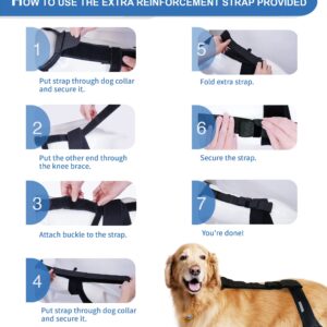 MerryMilo Dog Knee Brace for Hind and Rear Leg, Support for Dog ACL CCL Cruciate Ligament Injury Joint Pain and Muscle Sore, Size XL