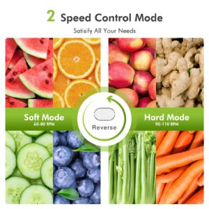 Cold Press Juicer, Juicer Machine for Vegetable and Fruit, Masticating Juicer Machine with 2 Speed Modes & Reverse function, Celery Juicer with Quiet Motor, Easy to Clean with Brush, Non-BPA