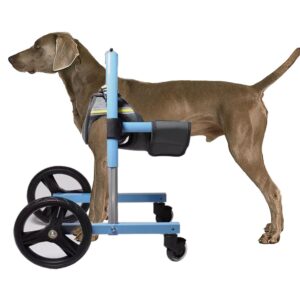 Elitix Injured Dog Wheelchair for Front Legs Support Only, Dog Front Legs Mobility Aids for Small Medium Large Dog, Dog Leg Support Brace/Mobility Cart(S), 78634