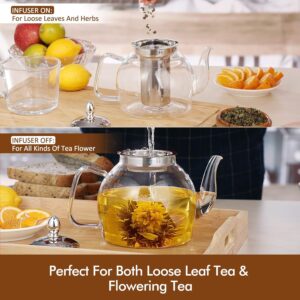 HIWARE 1500ml Glass Teapot with Removable Infuser, Stovetop Safe Tea Kettle, Blooming and Loose Leaf Tea Maker Set