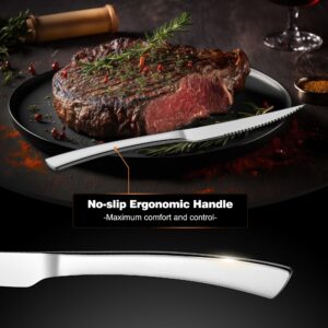 E-far Serrated Steak Knives Set of 12, Stainless Steel Dinner Knife for Home Kitchen Restaurant, 9 Inch Table Knife with Ergonomic Handle and Sharp Tip & Blade, Mirror Silver & Dishwasher Safe