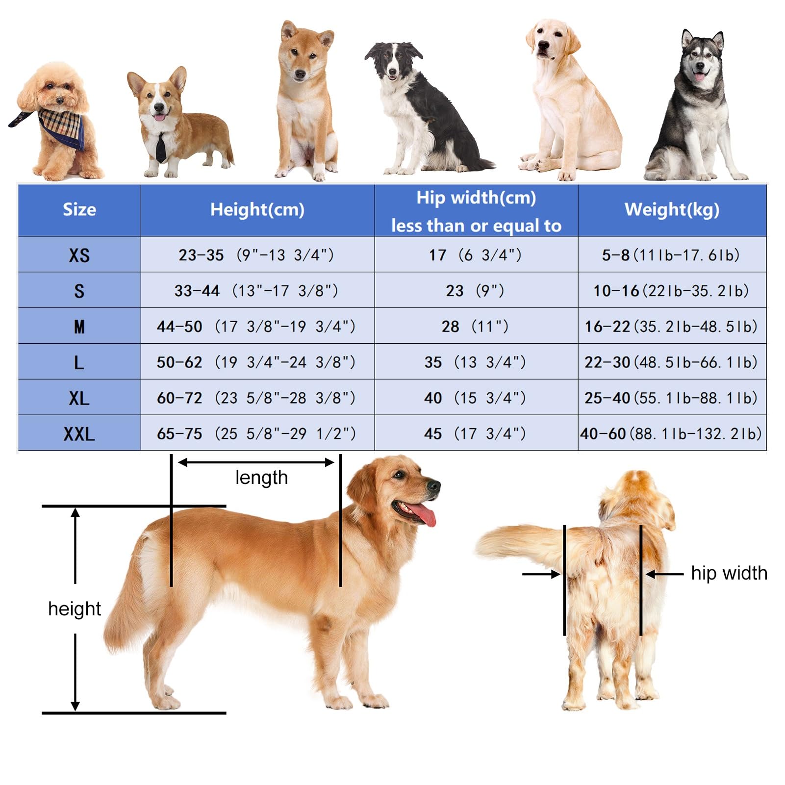 Elitix Injured Dog Wheelchair for Front Legs Support Only, Dog Front Legs Mobility Aids for Small Medium Large Dog, Dog Leg Support Brace/Mobility Cart(XL), 78634