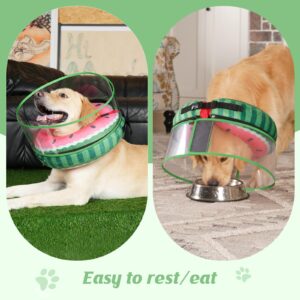 Didopet Inflatable Dog Cone, Watermelon Dog Donut Collar After Surgery, Dog Cone Alternative with Detachable Anti-Licking Shield, Soft Dog Cone for Large Medium Dogs Does Not Block View