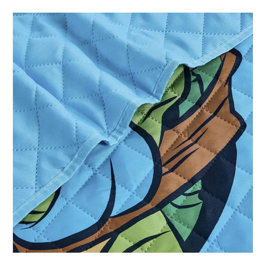 Jay Franco TMNT Teenage Mutant Ninja Turtles Twin Quilted Bedspread Only, Green, JF14538