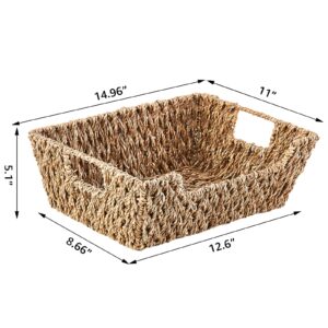 LGEHOOM Seagrass Wicker Storage Baskets Open-Front Pantry Baskets With Handles Handwoven Rattan Shelf Baskets for Organizer and Storage, 2 Pack