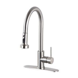 Stainless Steel Pull Down Kitchen Faucet with Sprayer Silver Brushed, Nickel Finish