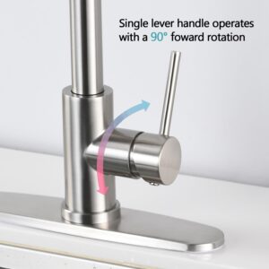 Stainless Steel Pull Down Kitchen Faucet with Sprayer Silver Brushed, Nickel Finish