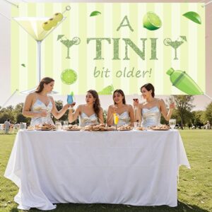 A Tini Bit Older backdrop- Martini Bar Party Decorations,Martini Bar Birthday Party Decor,A Tini Bit Older Birthday,Martini Party Decorations,Weenies and Tinis,Tini Bar Themed Bachelorette Party