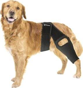 dog knee brace, dog knee brace for torn acl hind leg, dog leg braces for back leg, size large, dog acl brace hind leg, acl brace for dogs rear leg, dog knee brace for luxating patella