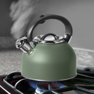 OGGI Tea Kettle for Stove Top - 64oz / 1.9lt, Stainless Steel Kettle with Loud Whistle, Ideal Hot Water Kettle and Water Boiler - Sage