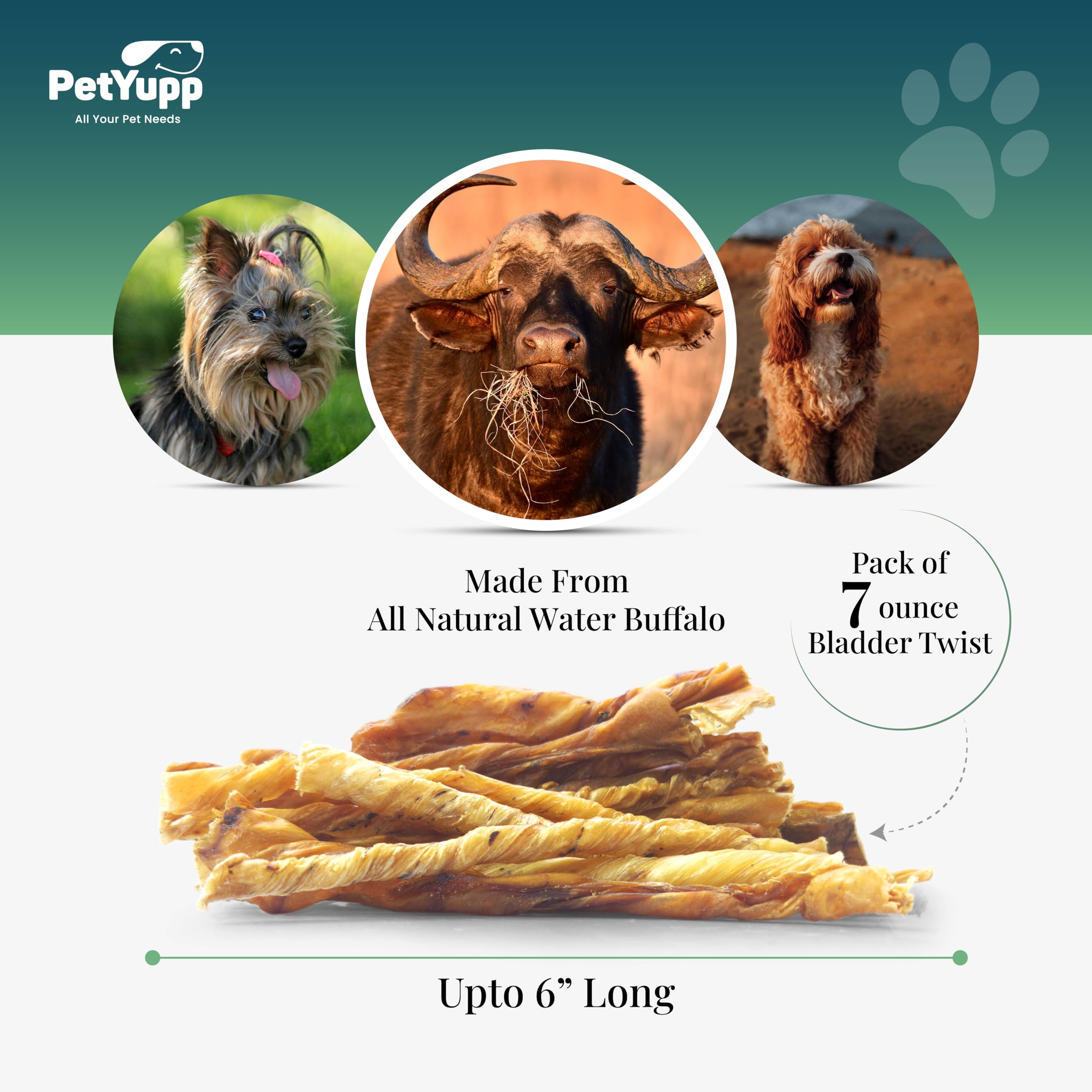 PetYupp Water Buffalo Bladder Twist Dog Chews - 100% Natural Dog Treats - for Small, Medium & Large Dog, High-Protein, Low-Fat, & Easy Digest Dog Treats - Non-GMO & No Additives (Pack of 7 Oz)