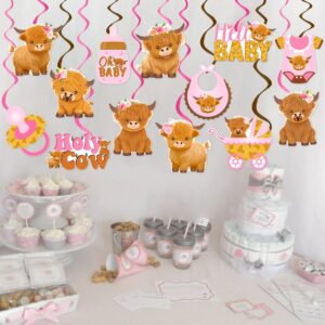 Highland Cow Baby Shower Hanging Swirls Holy Cow Baby Shower Decorations 20Pcs Highland Cattle Birthday Party Ceiling Hanging Decor Cow Party Streamers for Farm Animals Party Supplies