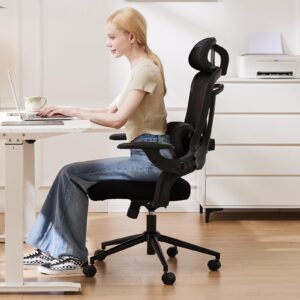 Ergonomic Mesh Office Chair, High Back Desk Chair with 2D Headrest, Up&Down Lumbar Support, Swivel Computer Task Chair with Adjustable Flip-up Armrests, Black