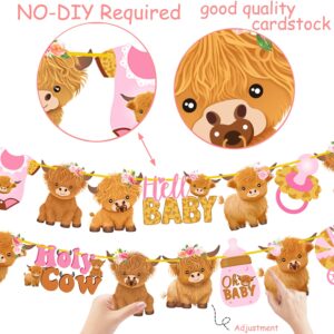 Pink Highland Cow Banners 2Pcs Highland Cow Baby Shower Party Decorations Holy Cow Baby Shower Banner Highland Cattle Cutout Decorations for Girl Oh Baby Cow Birthday Party Supplies