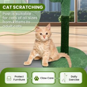 MAMONI Cactus Tree Cat Scratching Post for Indoor Cats, 33" Tall Cat Scratching Post with Sisal Rope for Cats Claw Scratcher, Cute Premium Kitten Scratching Post