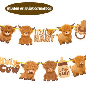 Highland Cow Baby Shower Banners 2Pcs Holy Cow Baby Shower Decorations Highland Cow Party Cutout Banners Oh Baby Party Decorations for Cow Cattle Baby Shower Birthday Party Supplies