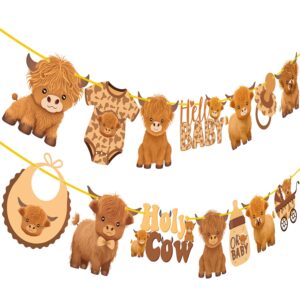 highland cow baby shower banners 2pcs holy cow baby shower decorations highland cow party cutout banners oh baby party decorations for cow cattle baby shower birthday party supplies