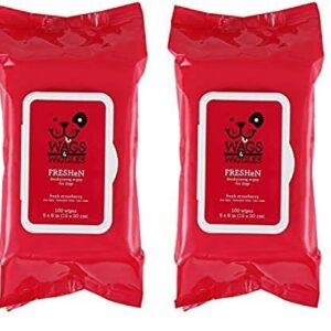 Wags & Wiggles Freshen Deodorizing Wipes for Dogs | Eliminate Odors from Your Dog's Coat | Fresh Strawberries, 100 Count | Easy and Convenient Way to Freshen Your Pet Without A Bath, FF12825