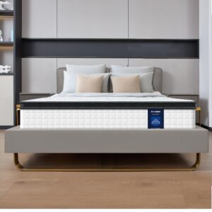 G LAXIA 10 Inch White Queen Spring Mattress,Medium Firm with Gel Memory Foam,Individually Pocketed Coil,Fiberglass-Free Fire Retardant CertiPUR-US Certified,80"*60"*10"