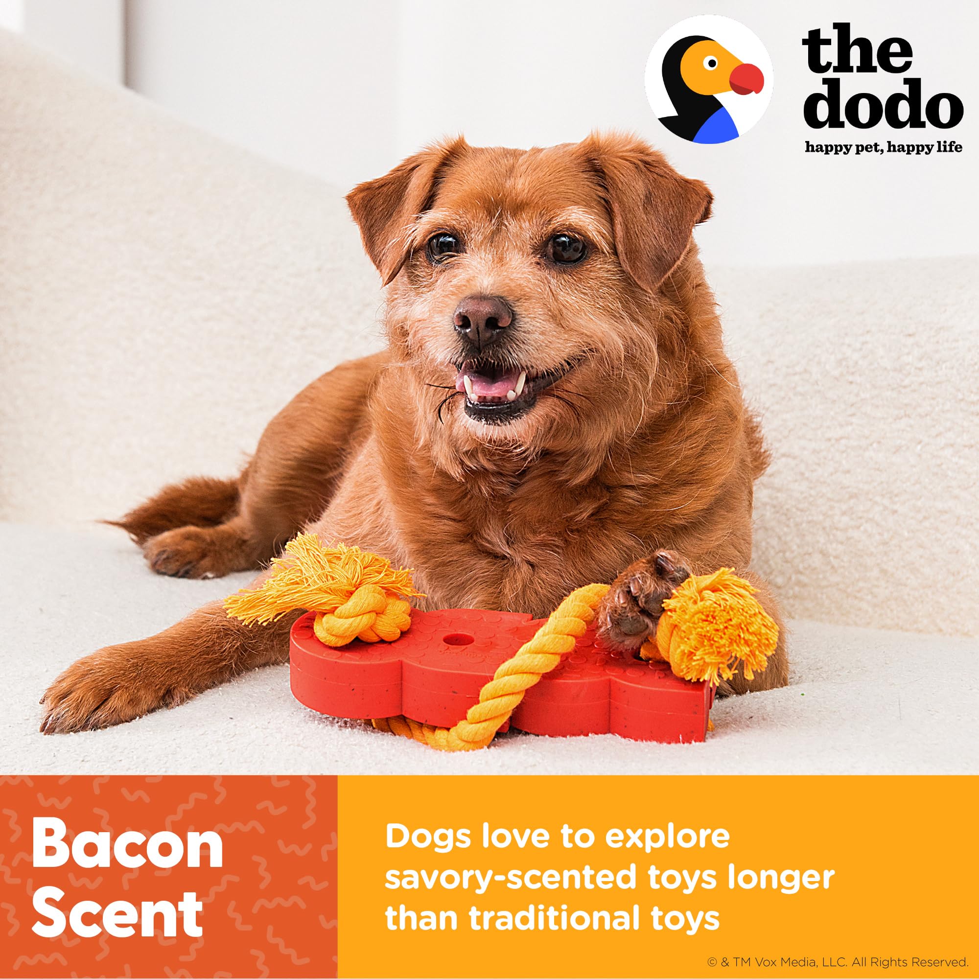 The Dodo 2-in-1 Nylon + Bamboo Dental Chew & Tug, Bacon Scented; Use Small or Large for Two Ways to Play; Tug Rope or Compact Chew