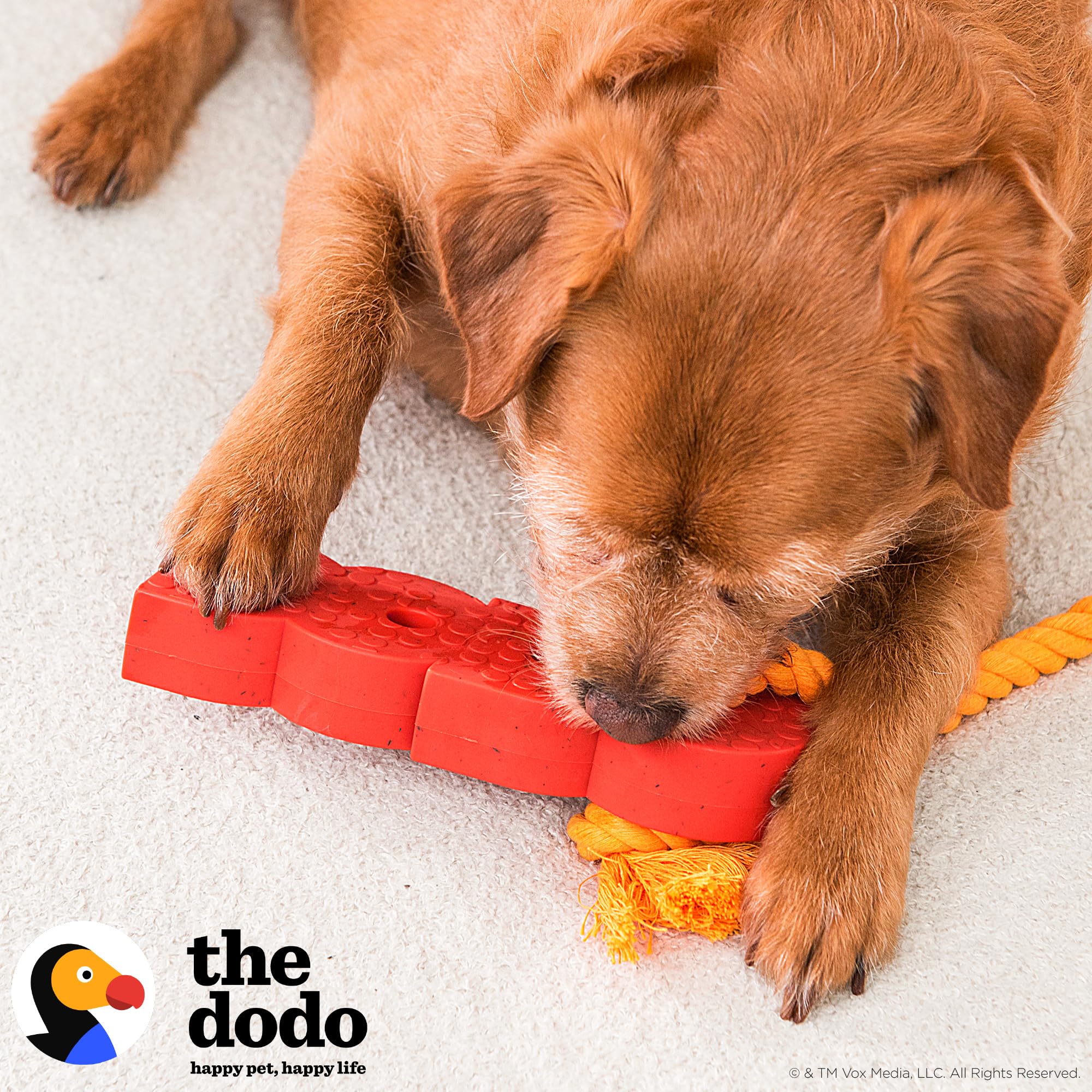 The Dodo 2-in-1 Nylon + Bamboo Dental Chew & Tug, Bacon Scented; Use Small or Large for Two Ways to Play; Tug Rope or Compact Chew