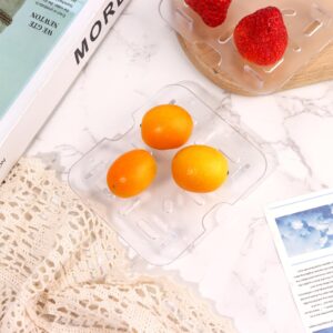 CoscosX 36 PCS Plastic Drain Shelf for 1/6 Size Food Pan Clear Plastic Grate Acrylic Food Drain Trays Plastic Drain Pan Clear Drain Tray for Food Fruit Vegetables Sink Teapot Dish Kitchen Restaurant