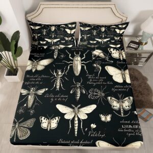 butterfly moth insects fitted sheet twin size,bug beetles entomological bed sheet for kids boys teens men bedroom decor,nature animal bedding set retro black brown deep pocket sheet,1 pillowcase