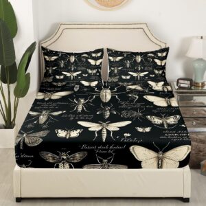 Butterfly Moth Insects Fitted Sheet Twin Size,Bug Beetles Entomological Bed Sheet for Kids Boys Teens Men Bedroom Decor,Nature Animal Bedding Set Retro Black Brown Deep Pocket Sheet,1 Pillowcase