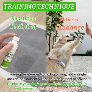 Ruidehut Dog Potty Training Spray & NO-GO Area Spray | Helps Train Puppies & Dogs Where to Potty | Dog Pee Training Spray | Suitable for Indoor & Outdoor Use | (1.6 oz Spray Set)