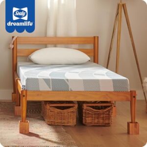 Sealy Dreamlife 6” Foam Mattress-in-a-Box, Full