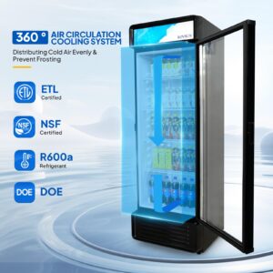 ROVSUN Commercial Refrigerator 12.2 Cu.Ft ETL NSF Certified, Commercial Beverage Refrigerator Cooler Glass Door Merchandiser Refrigerator Fridge w/Adjustable Shelves LED Light for Bar Restaurant Cafe