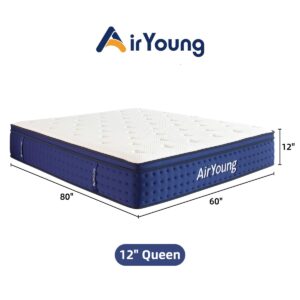 Queen Mattress, 12 Inch Queen Size Mattress, Memory Foam Pocket Coil Hybrid Mattress in-a-box for Motion Isolation, Zero Pressure Deep Sleep with CertiPUR-US Certified, Plush Feel, 120-Night Trial