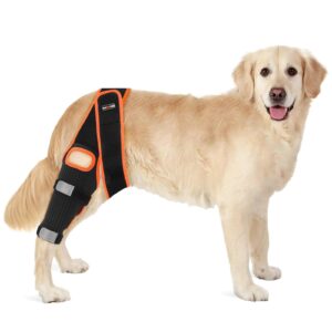 dog knee brace leg braces with side stabilizers for dogs support for torn acl ccl hind leg, knee cap dislocation, cruciate ligament injuries, patella dislocation or osteoarthritis （l）