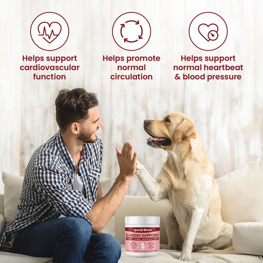 Special Breed Cardio Support for Dogs - Heart Health Support with Taurine, CoQ10, Organic Hawthorne Berry, Powder Supplement, 120 Scoops, 3.14 oz