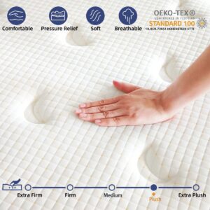 Queen Mattress, 12 Inch Queen Size Mattress, Memory Foam Pocket Coil Hybrid Mattress in-a-box for Motion Isolation, Zero Pressure Deep Sleep with CertiPUR-US Certified, Plush Feel, 120-Night Trial