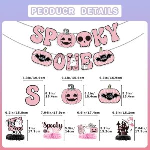 The Spooky One Banner Halloween Birthday Party Decorations Halloween Birthday Banner for Halloween 1st Birthday Party Decorations Spooky One Birthday Decorations